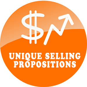 Best Way Websites Unique Selling Propositions