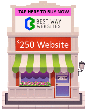 A Professional Mobile Friendly Website for Just $250!
