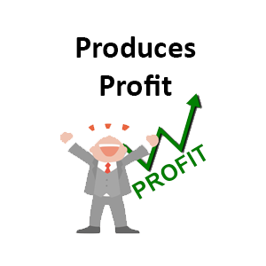 Does Your Website Produce Profit? Does Your Website Produce Profit?
